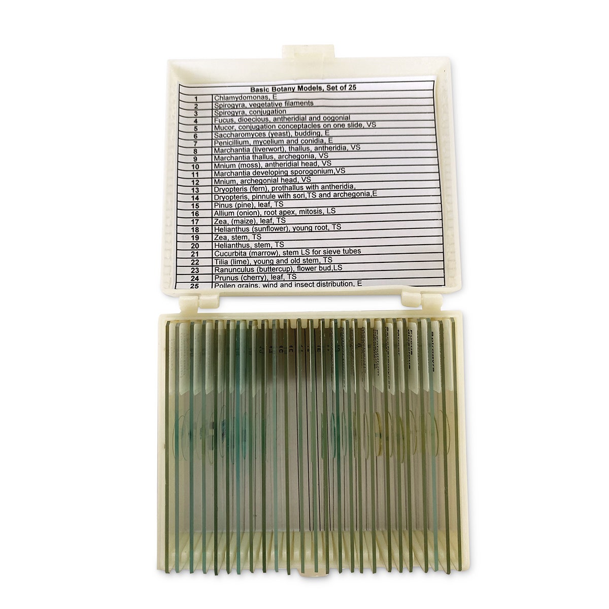 NE30309-United Scientific Basic Botany Slide Set