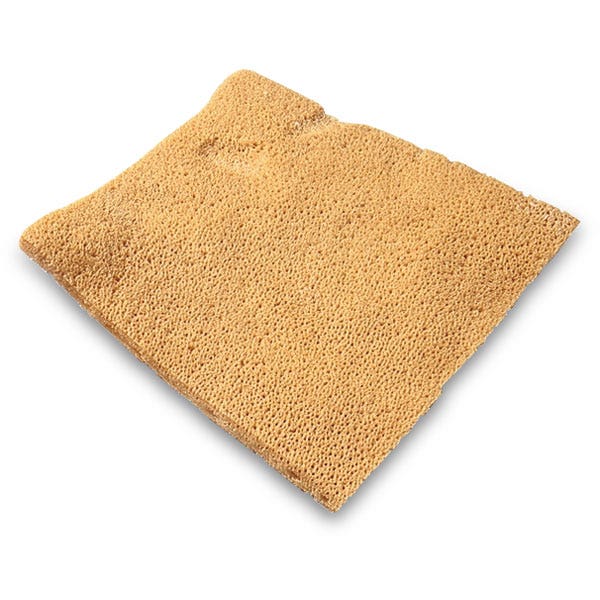 0300399-Elephant Ear Sponge