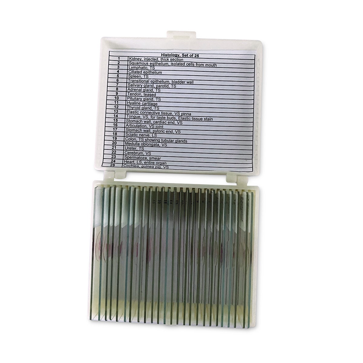 NE30310-United Scientific Histology Slide Set