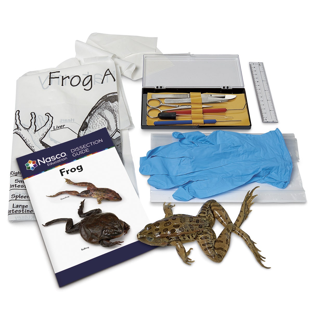 LS03850-Nasco "Try It" Dissection Kit - Preserved Frog