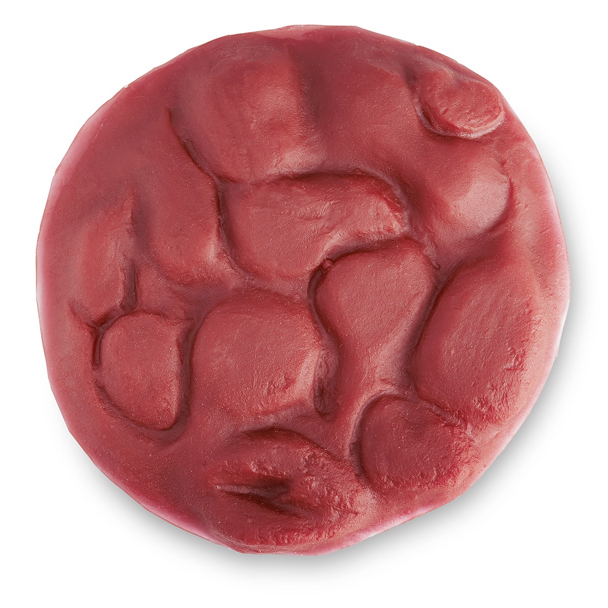 110-185-Placenta for Obstetrical Manikin