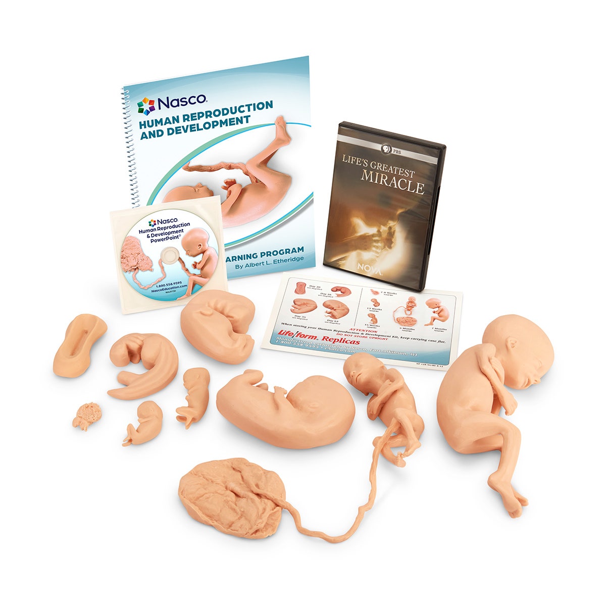 WA25812-Nasco Human Reproduction and Development Kit with DVD