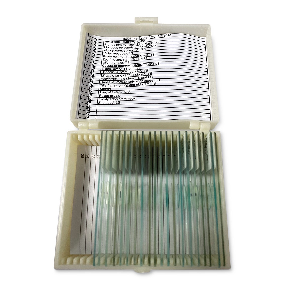 NE30311-United Scientific Basic Plant Anatomy Slide Set