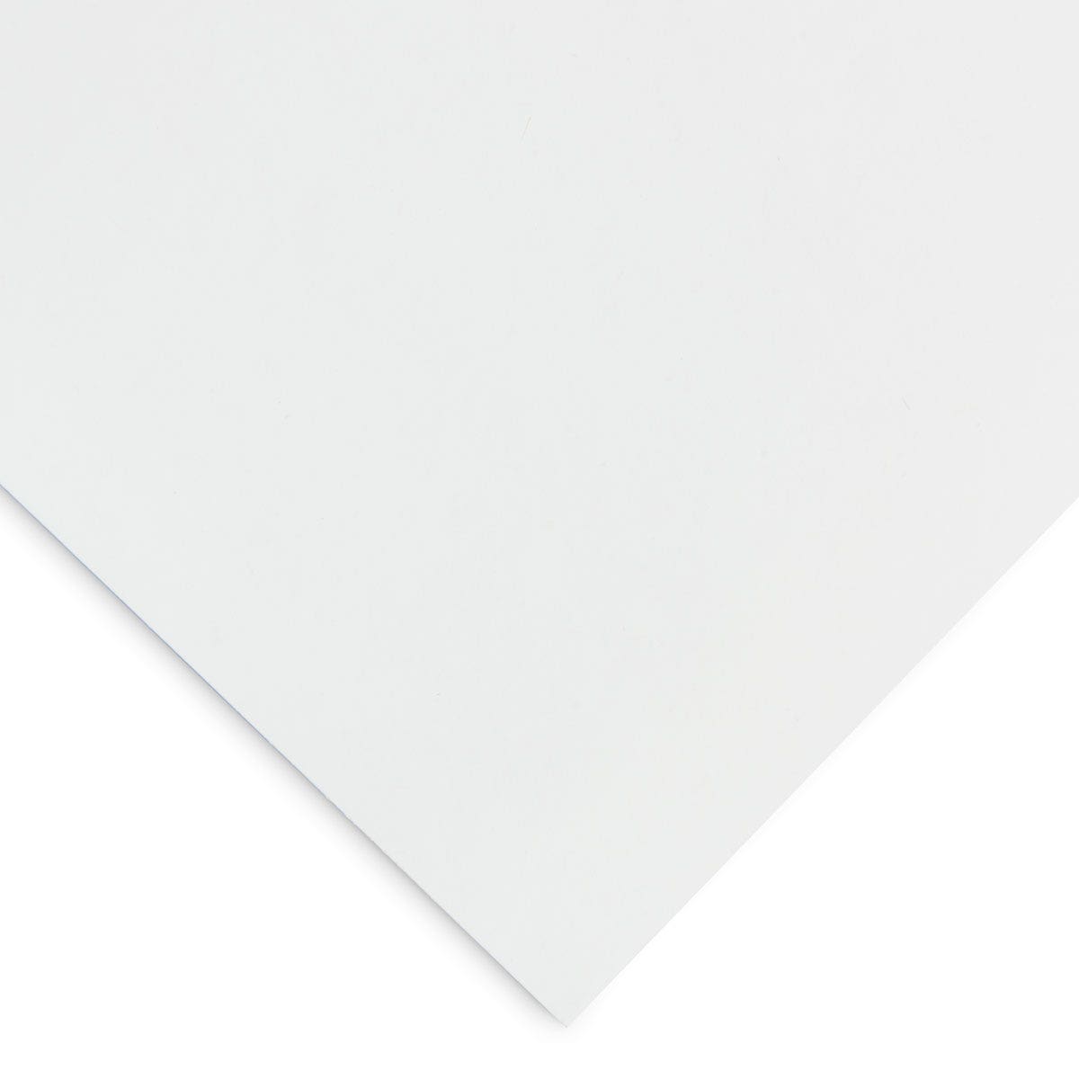 X00003100220-Nasco Thrifty Buy Poster Board Special 12 pt.
