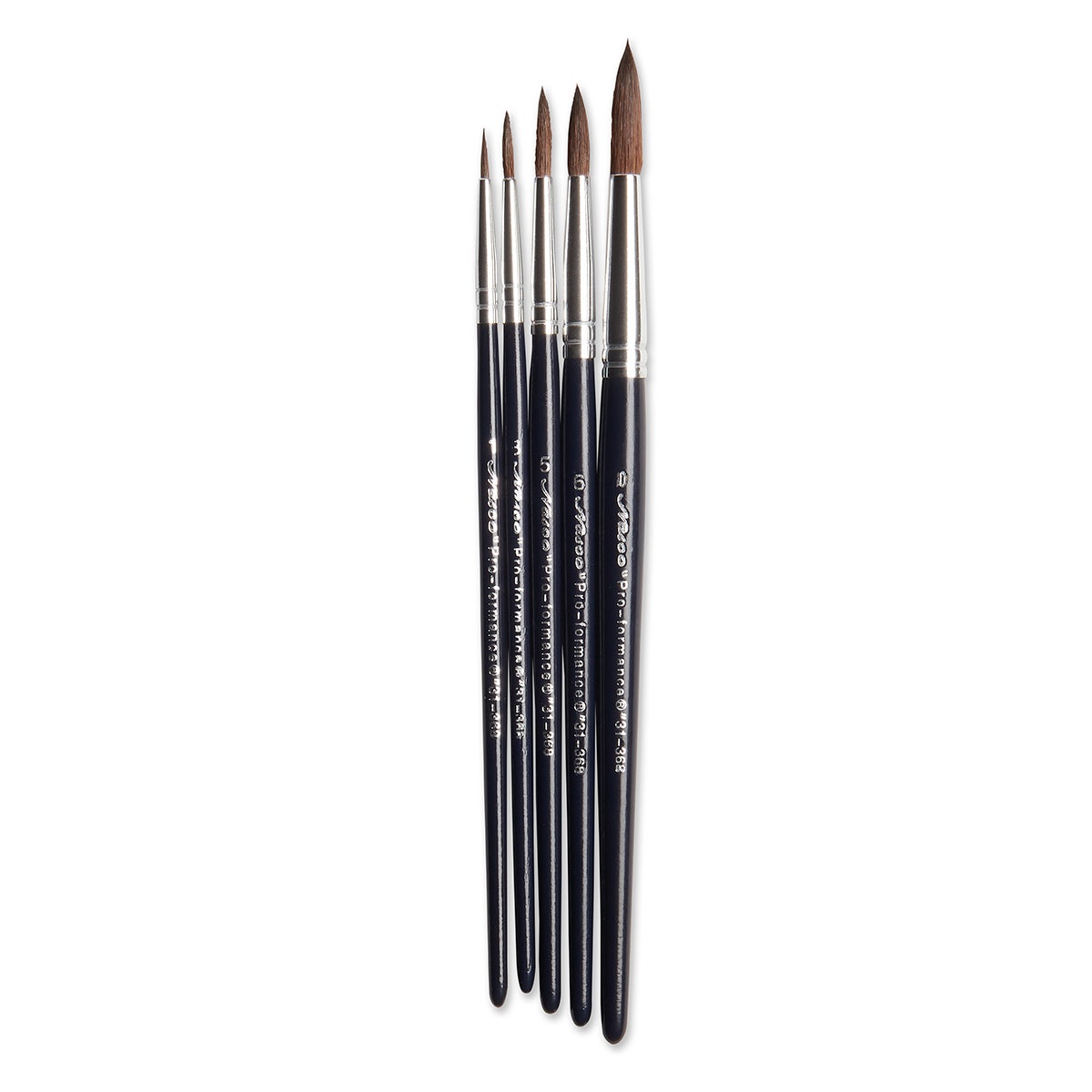 3100368-Nasco Watercolor Brushes - Set of 5