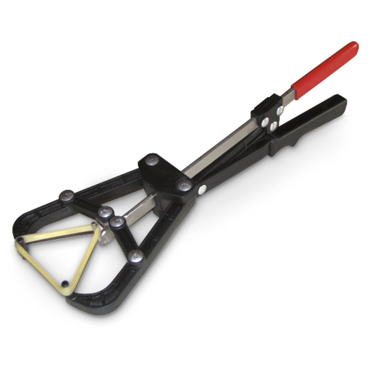 C24393-Tri-Band Bander