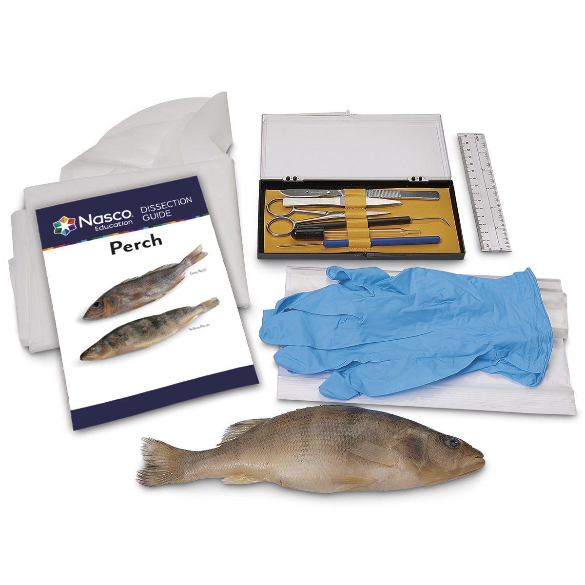 LS03849-Nasco "Try It" Dissection Kit - Preserved Perch