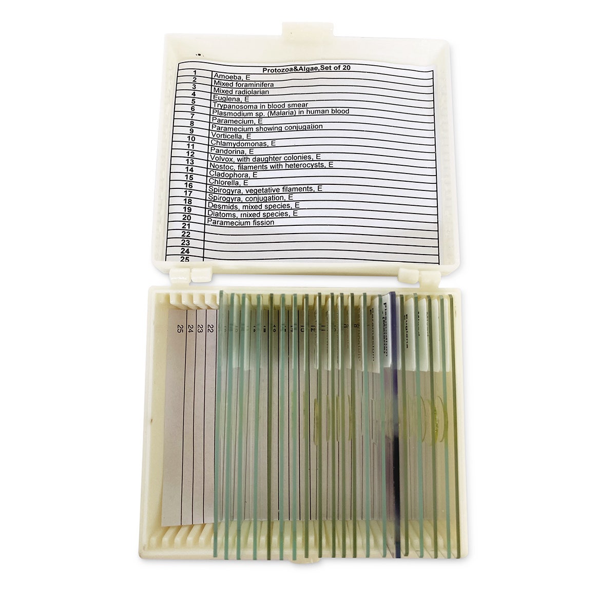 NE30312-United Scientific Protozoa & Algae Slide Set