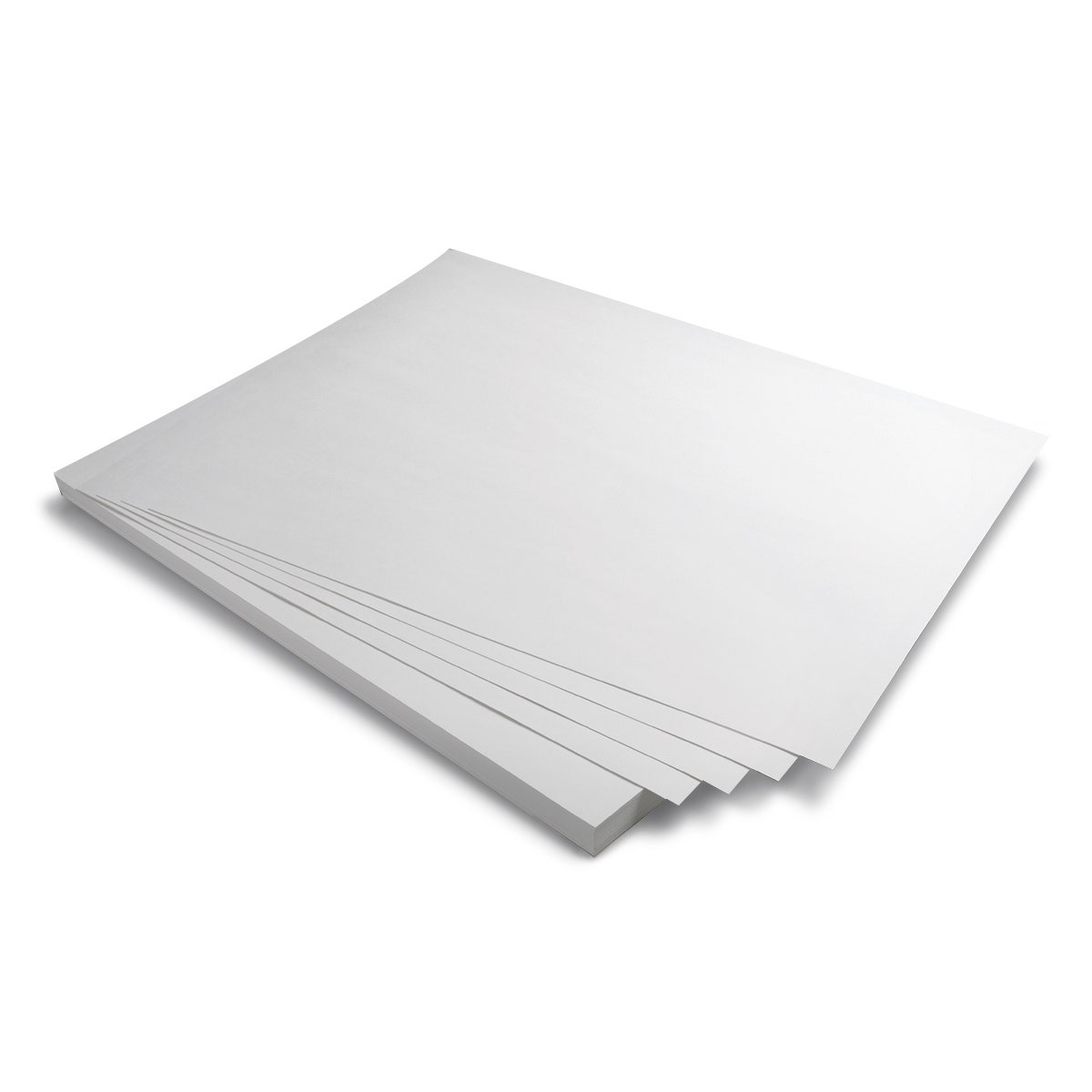 X00009700995-White Tag Board - 22-1/2 in. x 28-1/2 in. - Medium