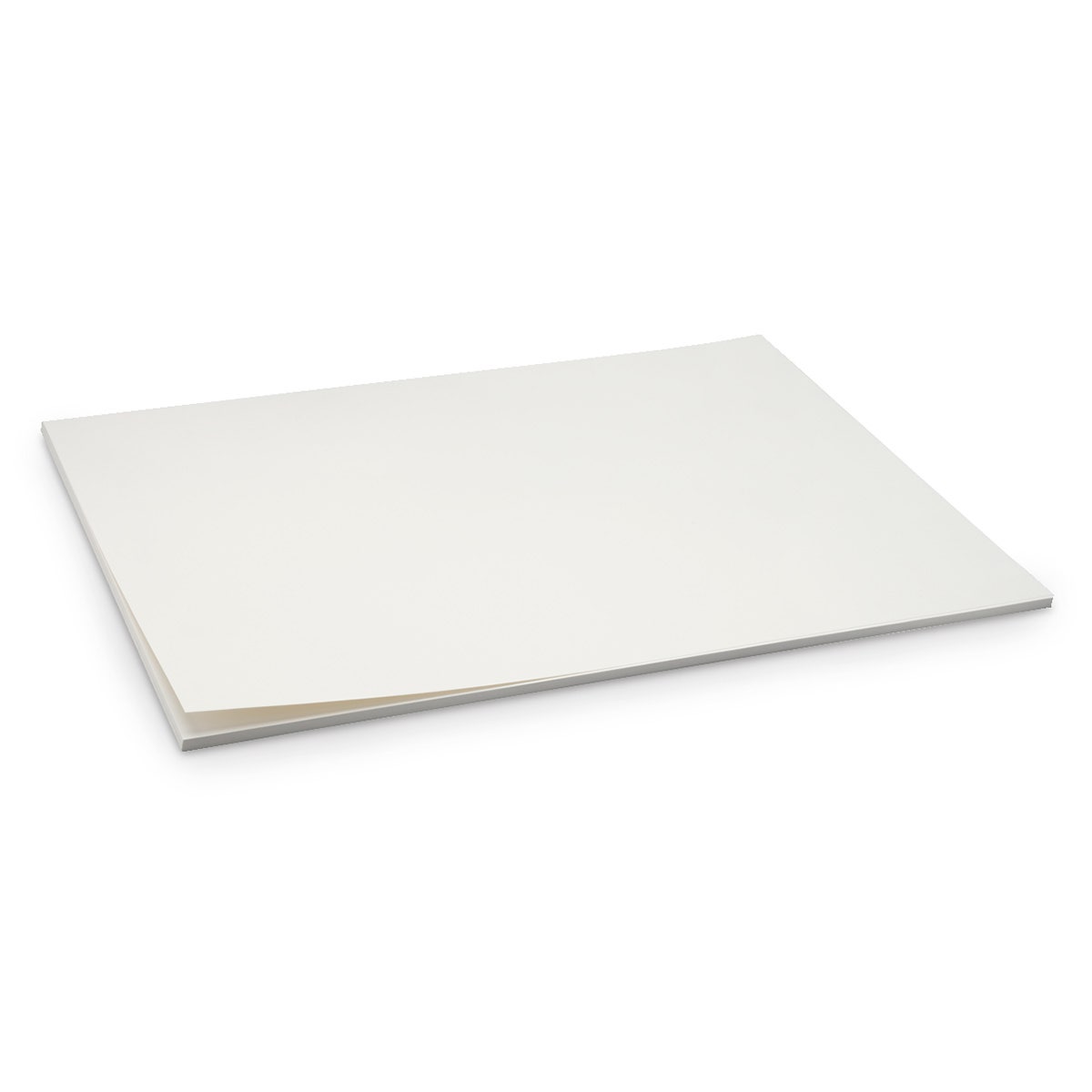 X00009700996-White Tag Board - 22-1/2 in. x 28-1/2 in. - Heavy
