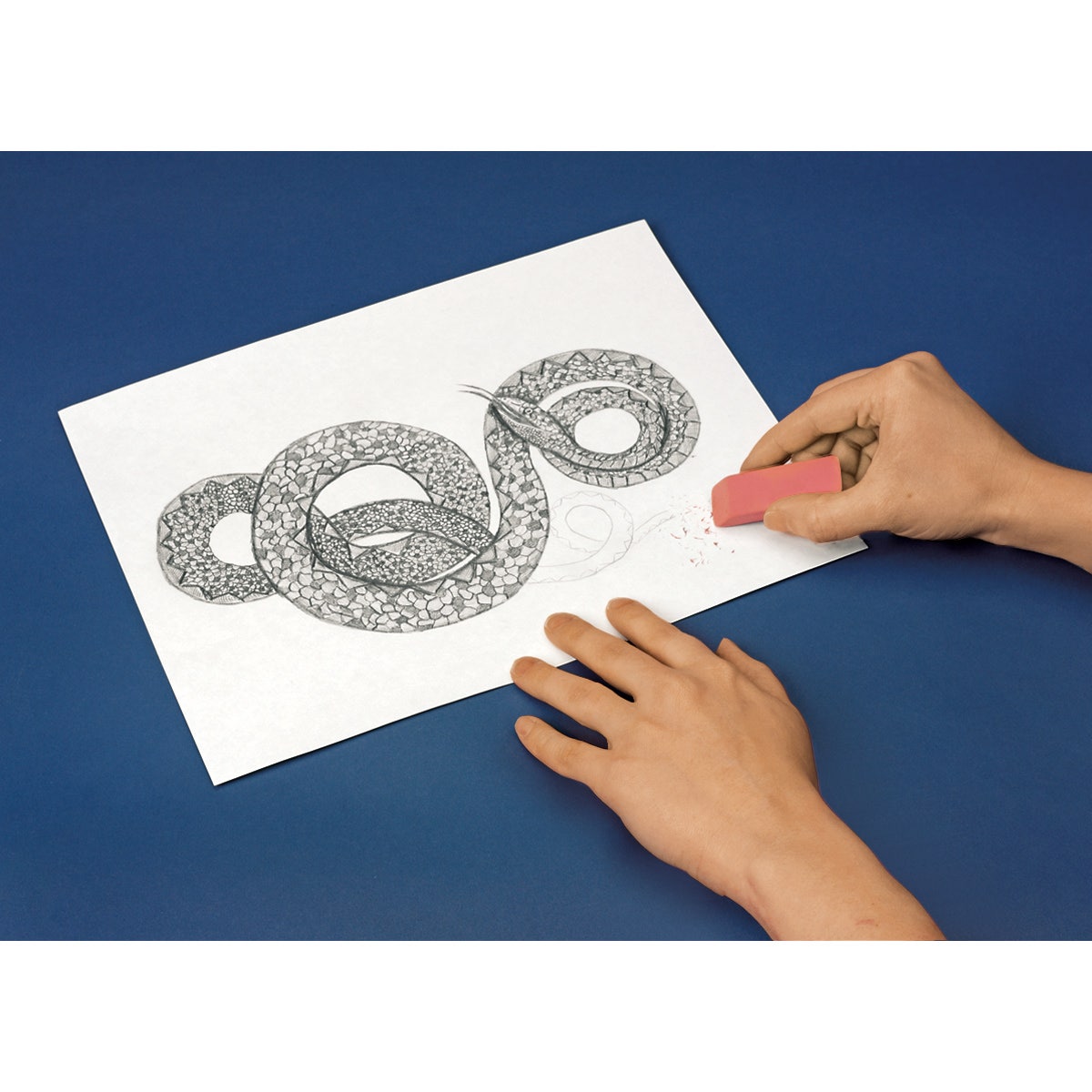 X00009707356-Nasco Erasable Drawing Paper