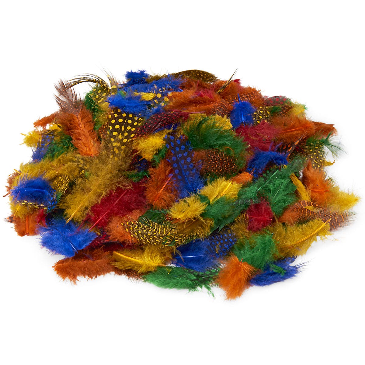 9714857-Spotted Feather Classroom Pack