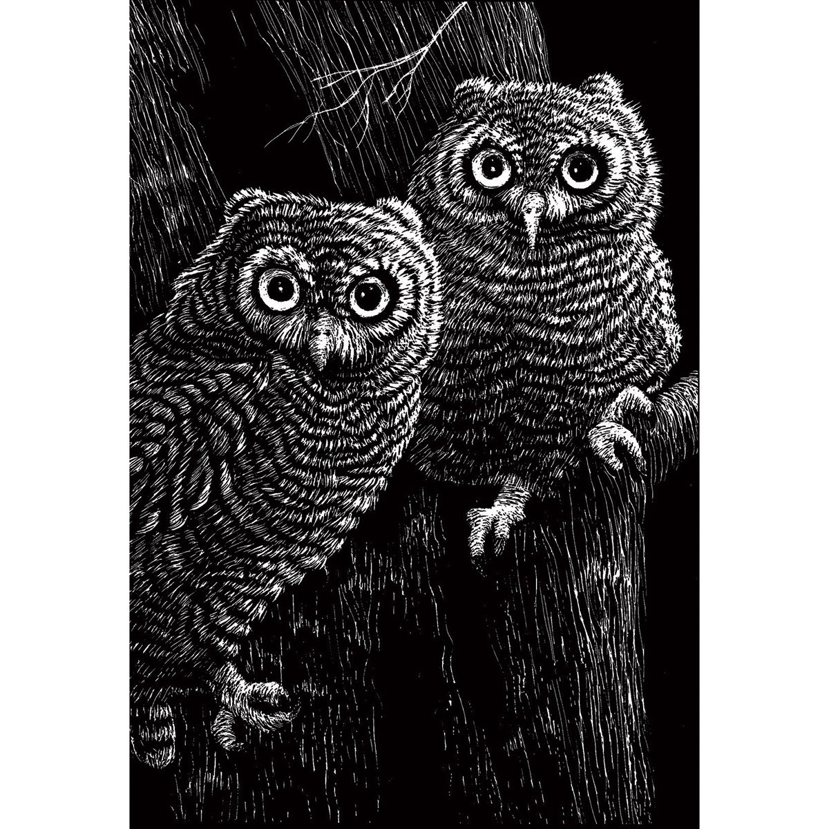 X00009715025-Inovart Flexible Student Scratchboard