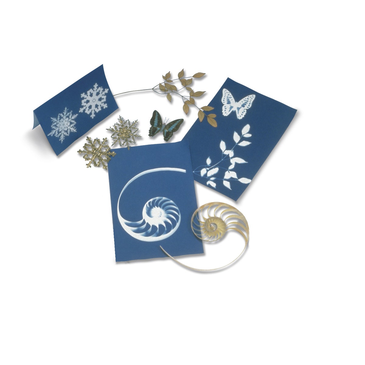 9717590-Nature Print® Paper - 11 in. x 17 in. - Pkg. of 20 Sheets