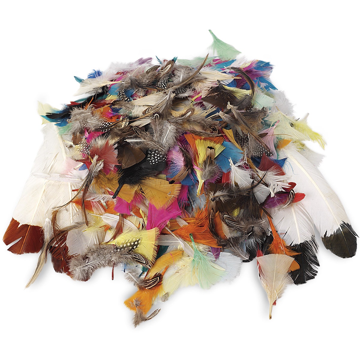 9718639-Feather Classroom Pack