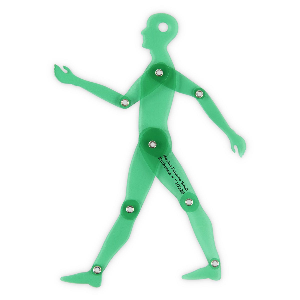 X00009718859-Human Figure Position Template