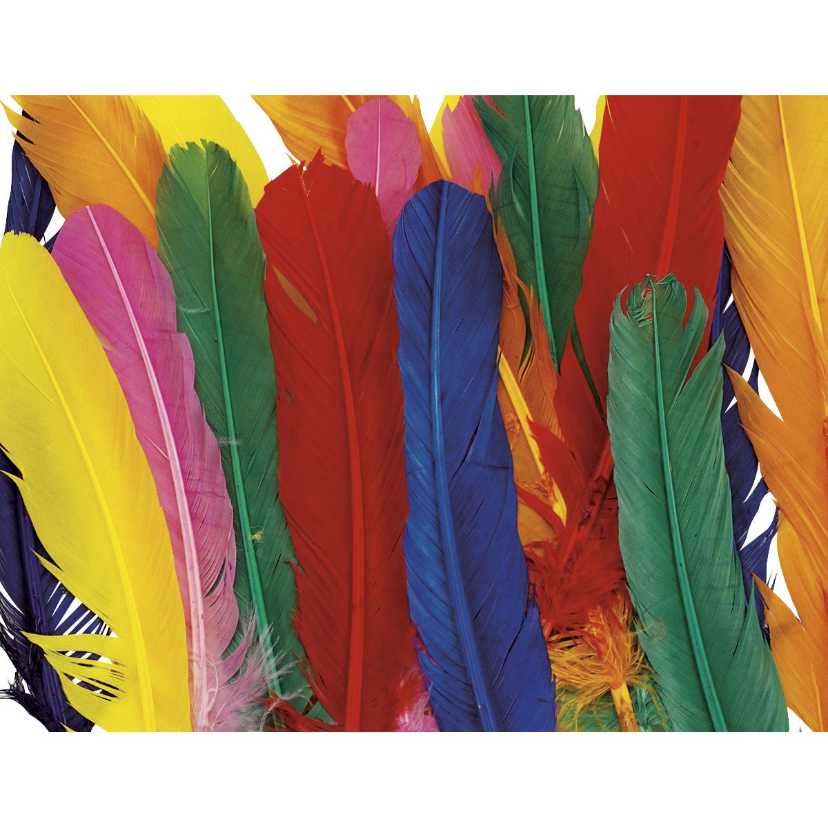9720908-Wing Feathers Multicolor Pack