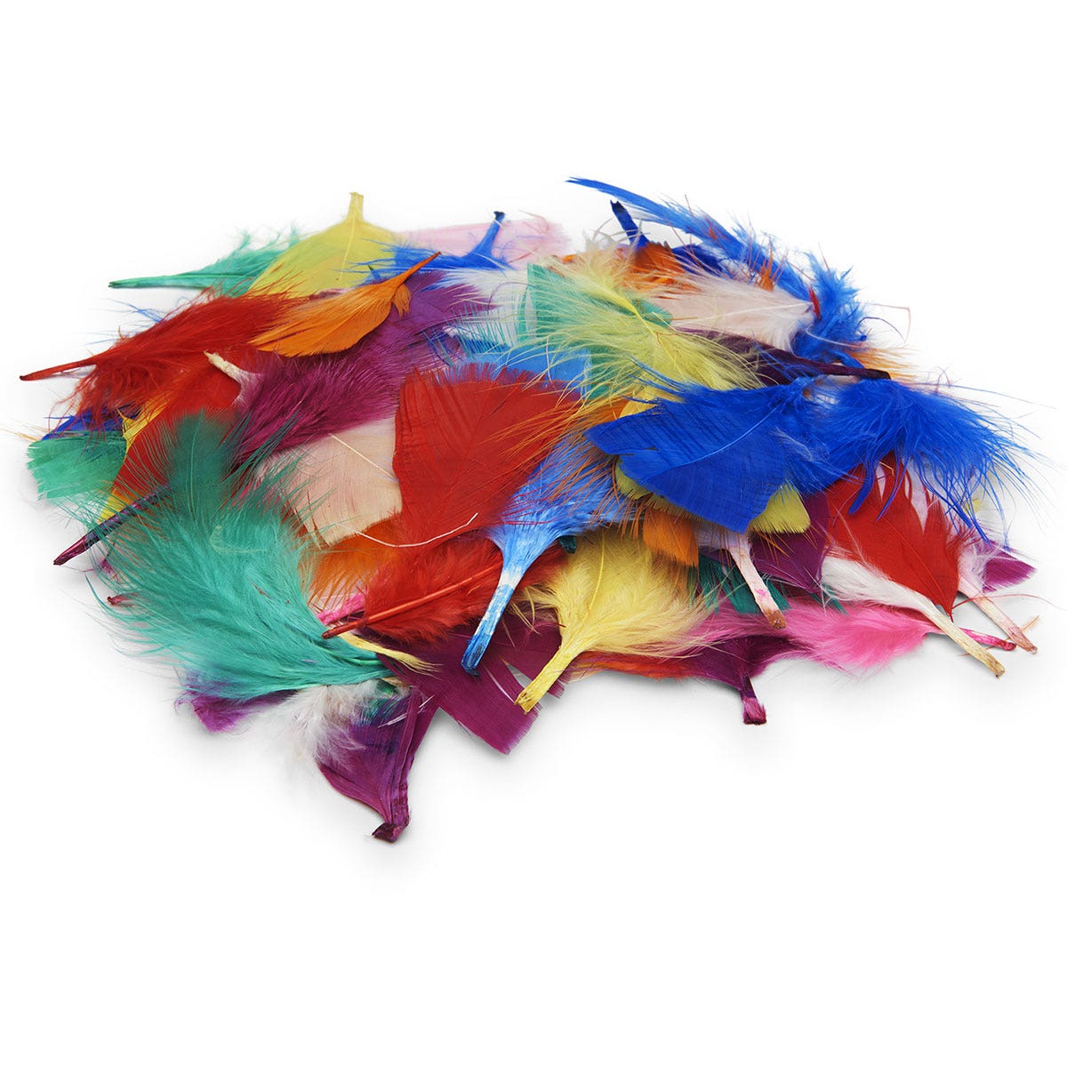 9720909-Plumage Feathers