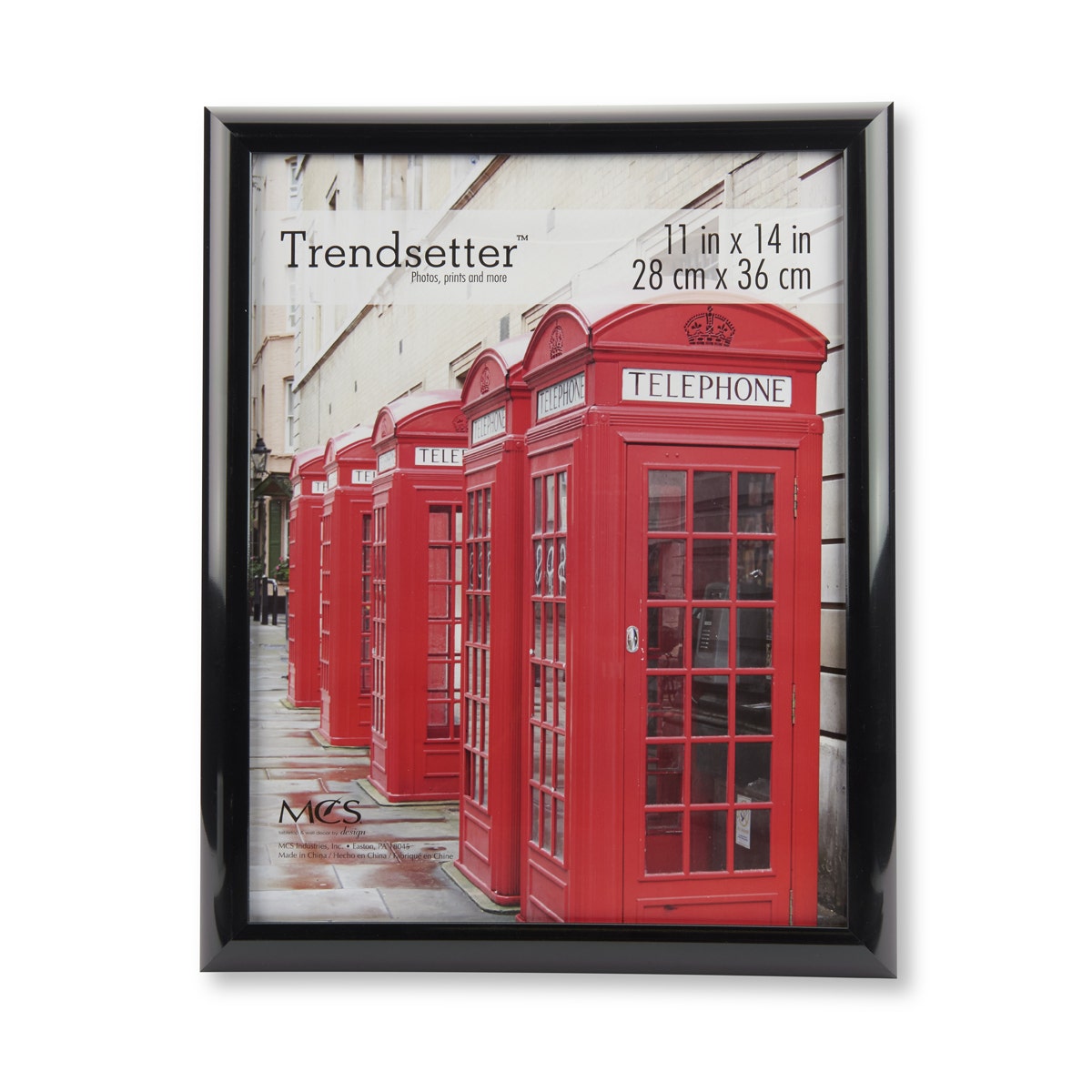 X00009726148-TrendSetter Frame