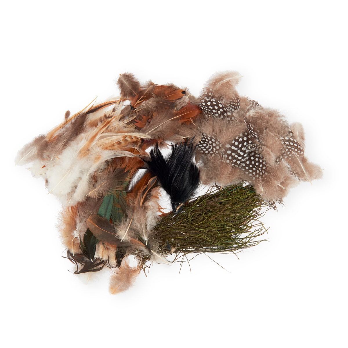 9726612-Nasco Natural Feathers Classroom Pack