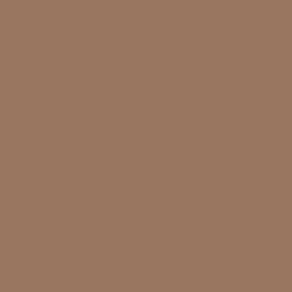 9729978(M)-Nasco Premium Deer Brown Construction Paper, 12 in. x 18 in. - 50 Sheets