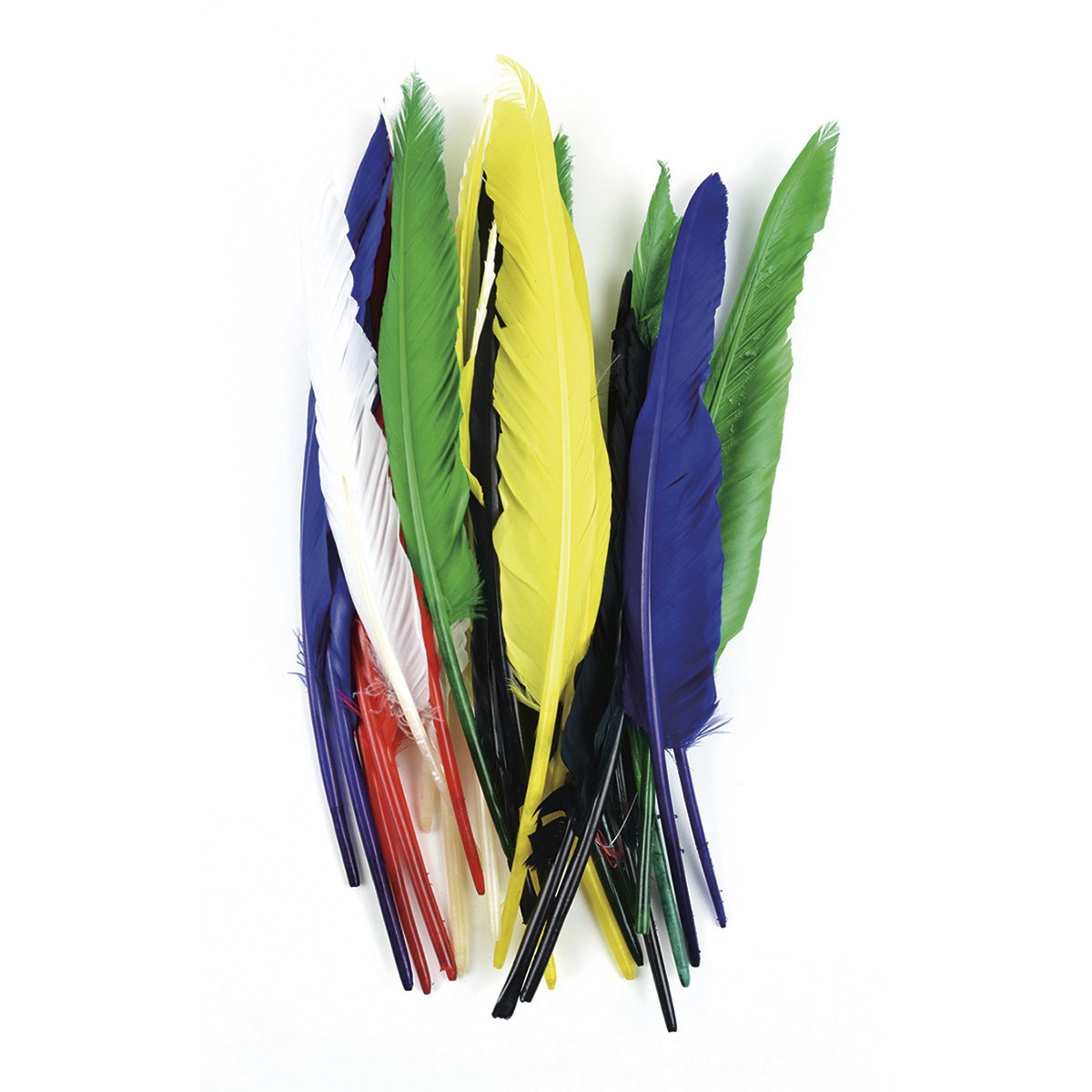 9735374-Indian Feather Value Pack - Pkg. of 25