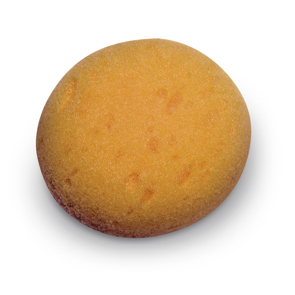 9738059-Royal Brush® Synthetic Sponge