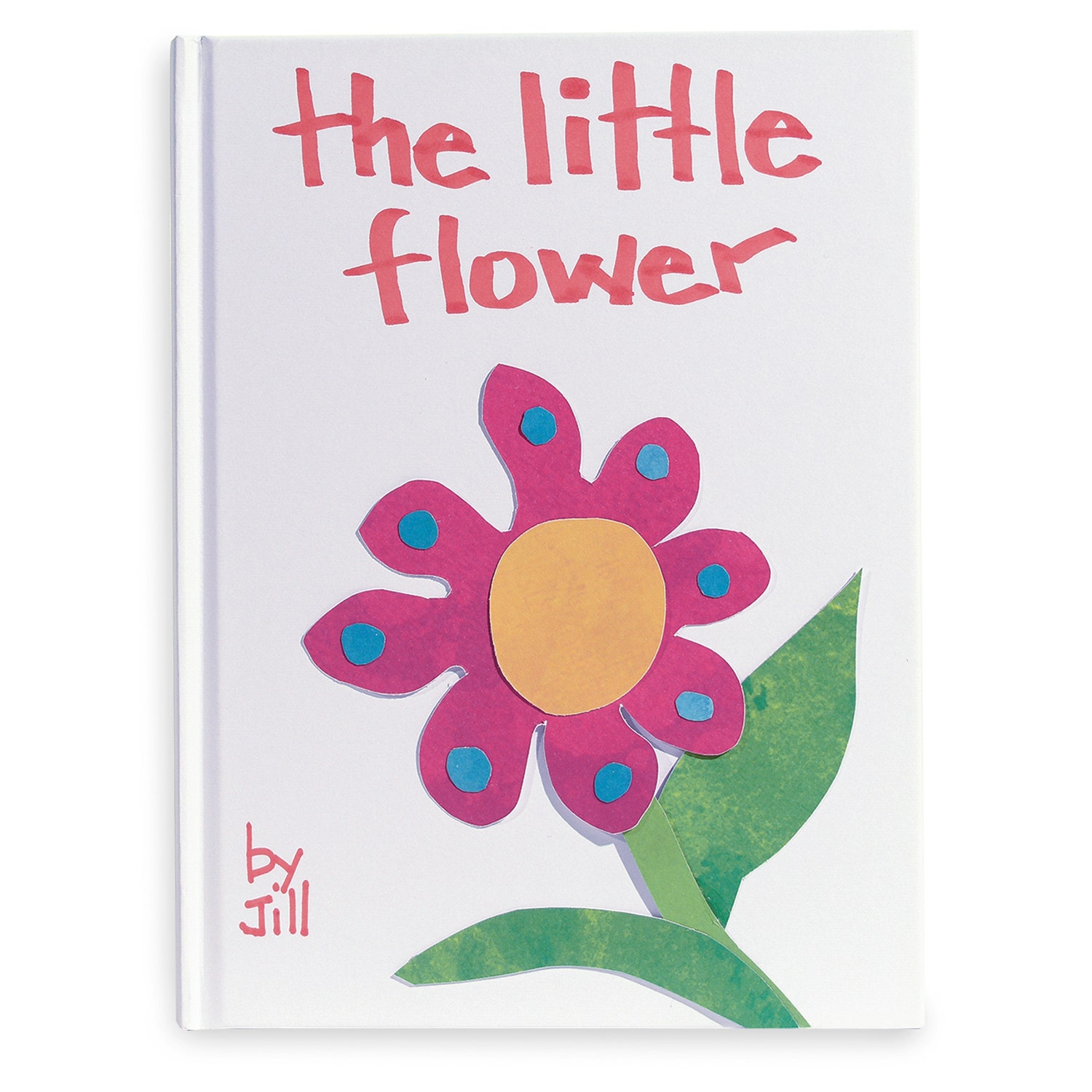 X00009739276-Hayes Hardcover Blank White Book