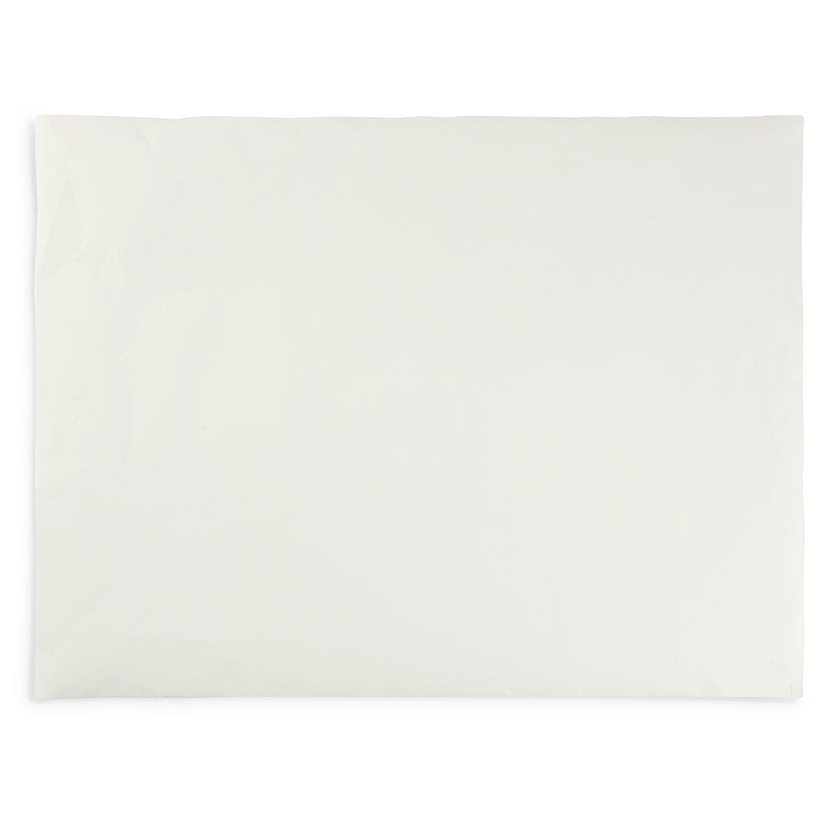 9742394(A)-Ingres Pastel Paper - 19 in. x 25 in. - White
