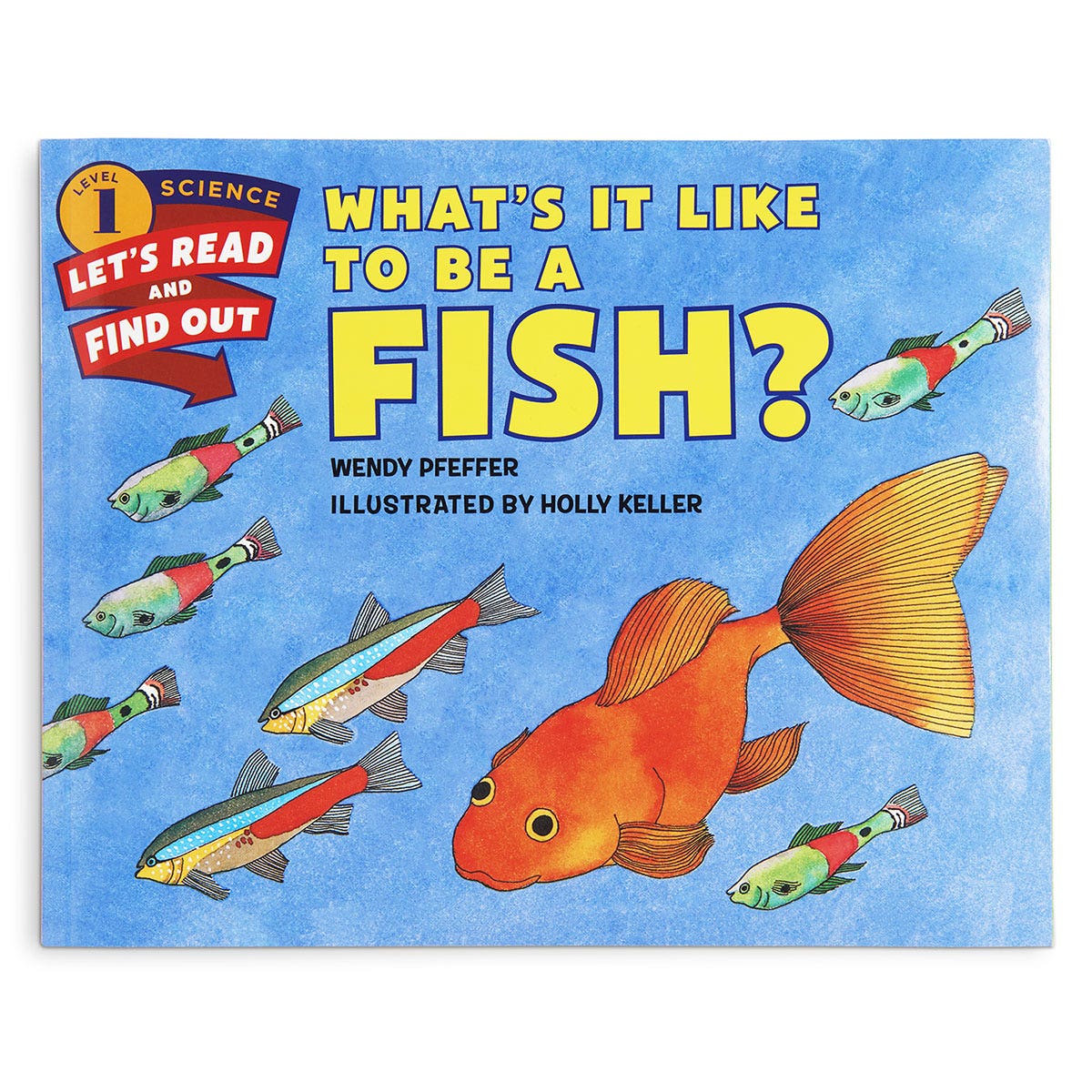 9742781-What Its Like to be a Fish