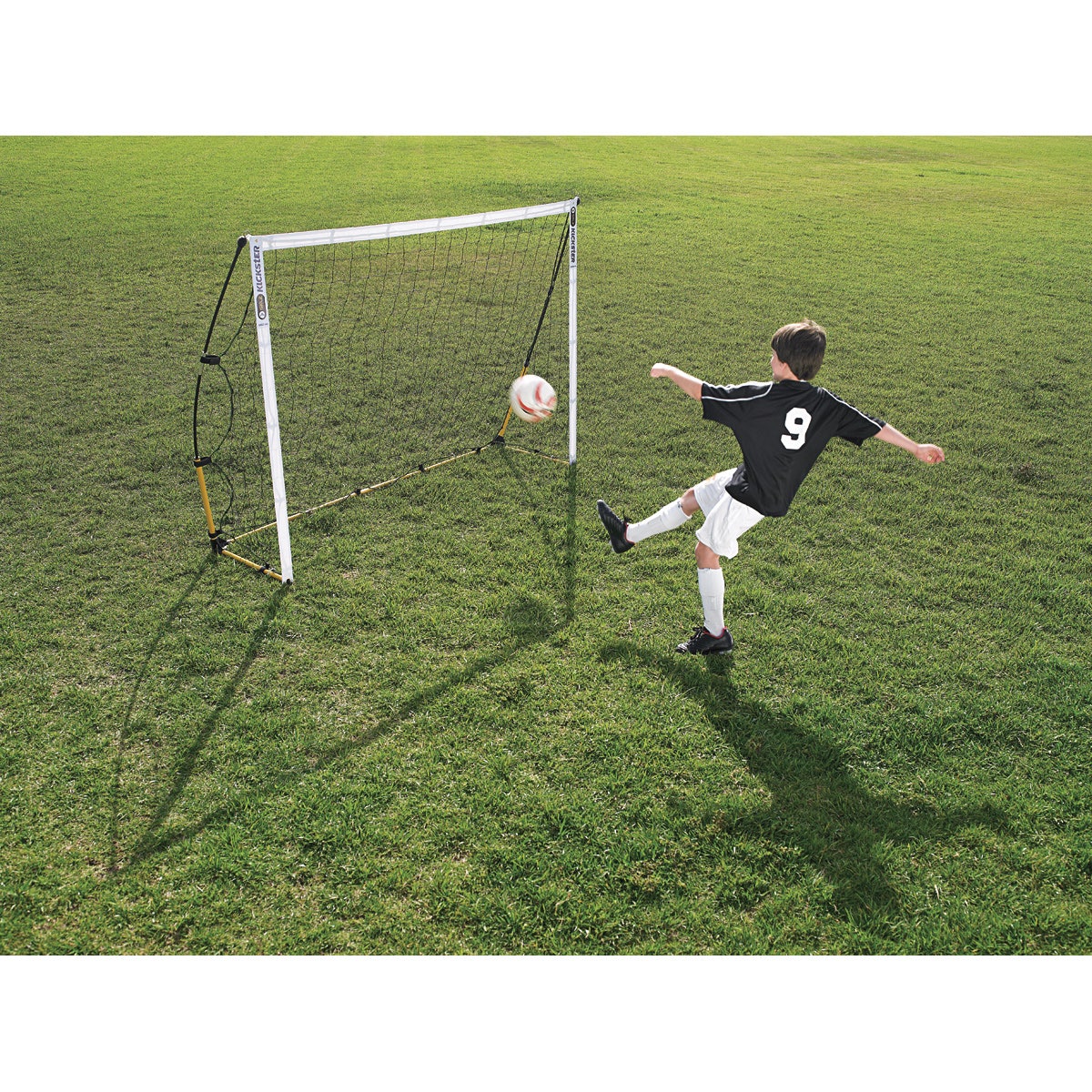 PE08307-Quickster™ - 6 ft. x 4 ft.