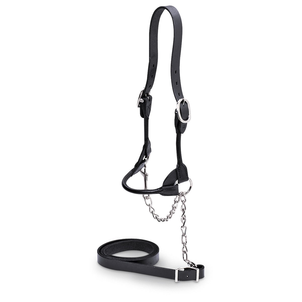 X0000C02284-Nasco Round Strap Show Cattle Halter - Black