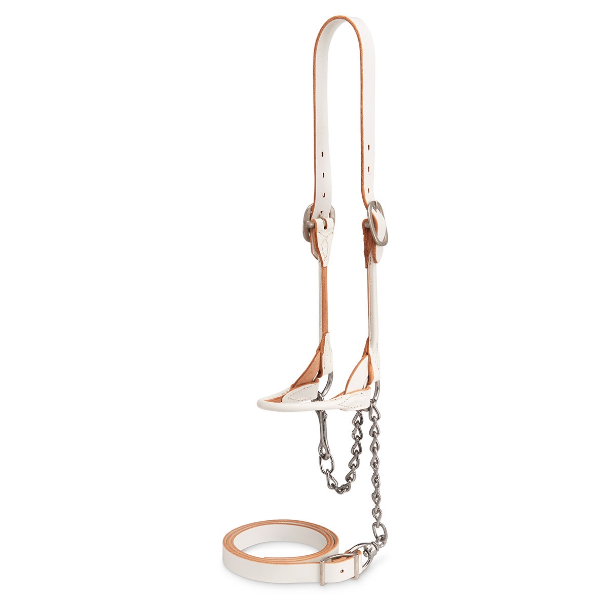 C02565-Weaver Round Strap Show Halter - Cow/Steer - White