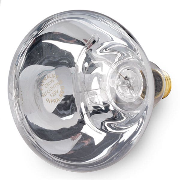 X0000C06437-Electric Infrared Heat Bulb