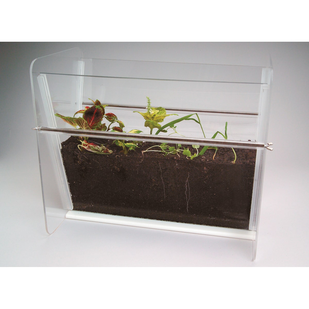 C09679-Rootview Growth Chamber