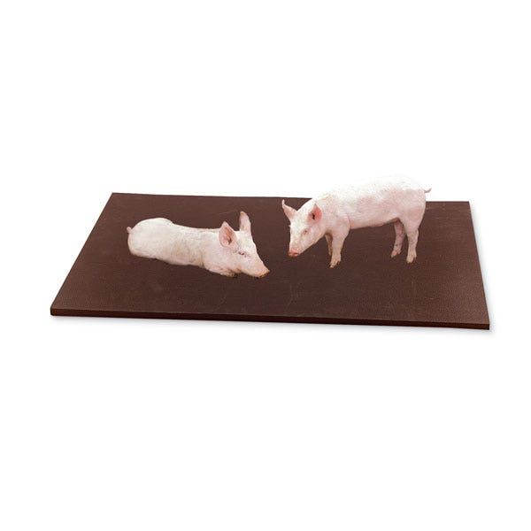 C11765-Humane Pig Creep Mat