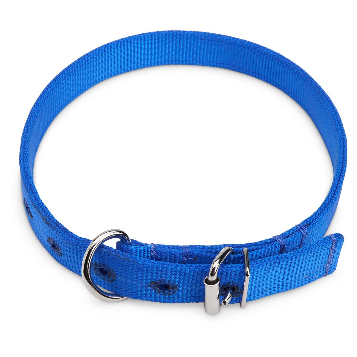 X0000C14329-Nylon Collar - Blue