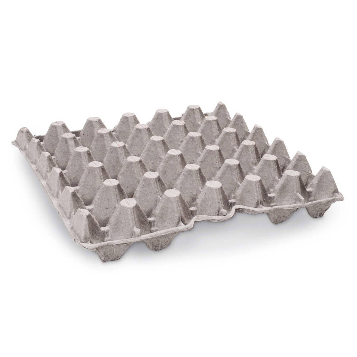 C15756-Super Pocket Egg Flats
