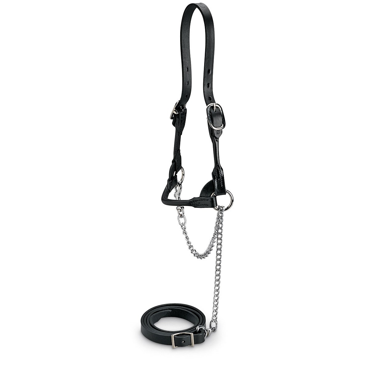 X0000C15950-Nasco Double-Buckle Slimline Round Strap Show Halter - Black