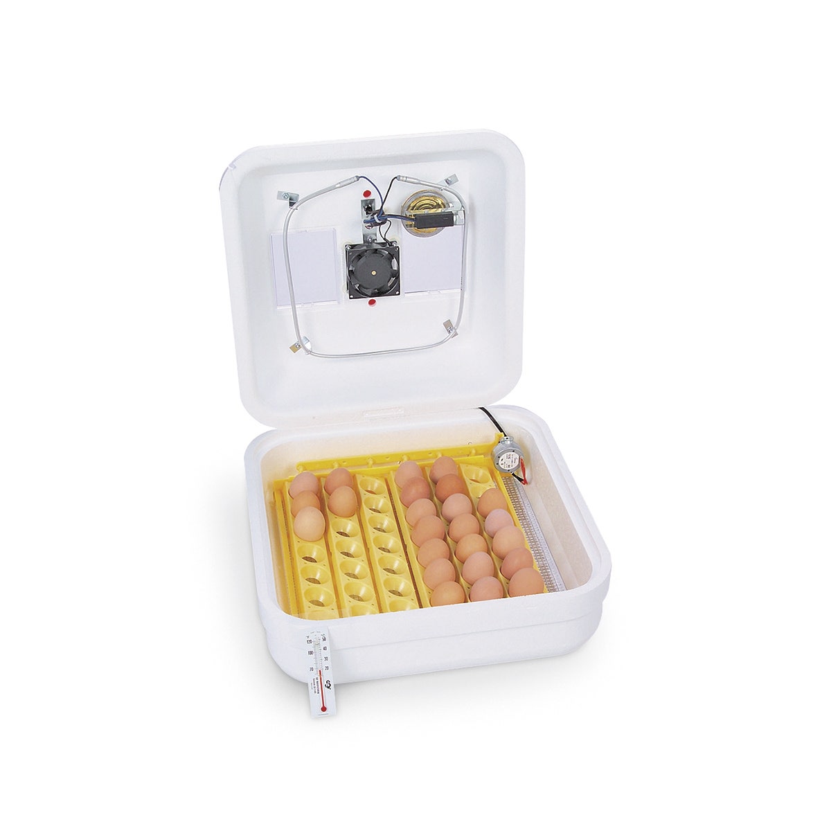 C17015-Nasco Incubator Kit