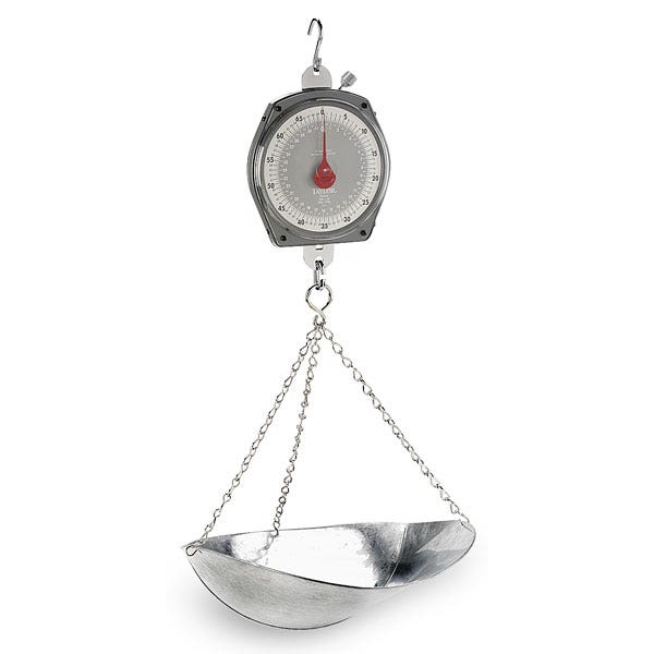 C21047-Hanging Scale with Scoop