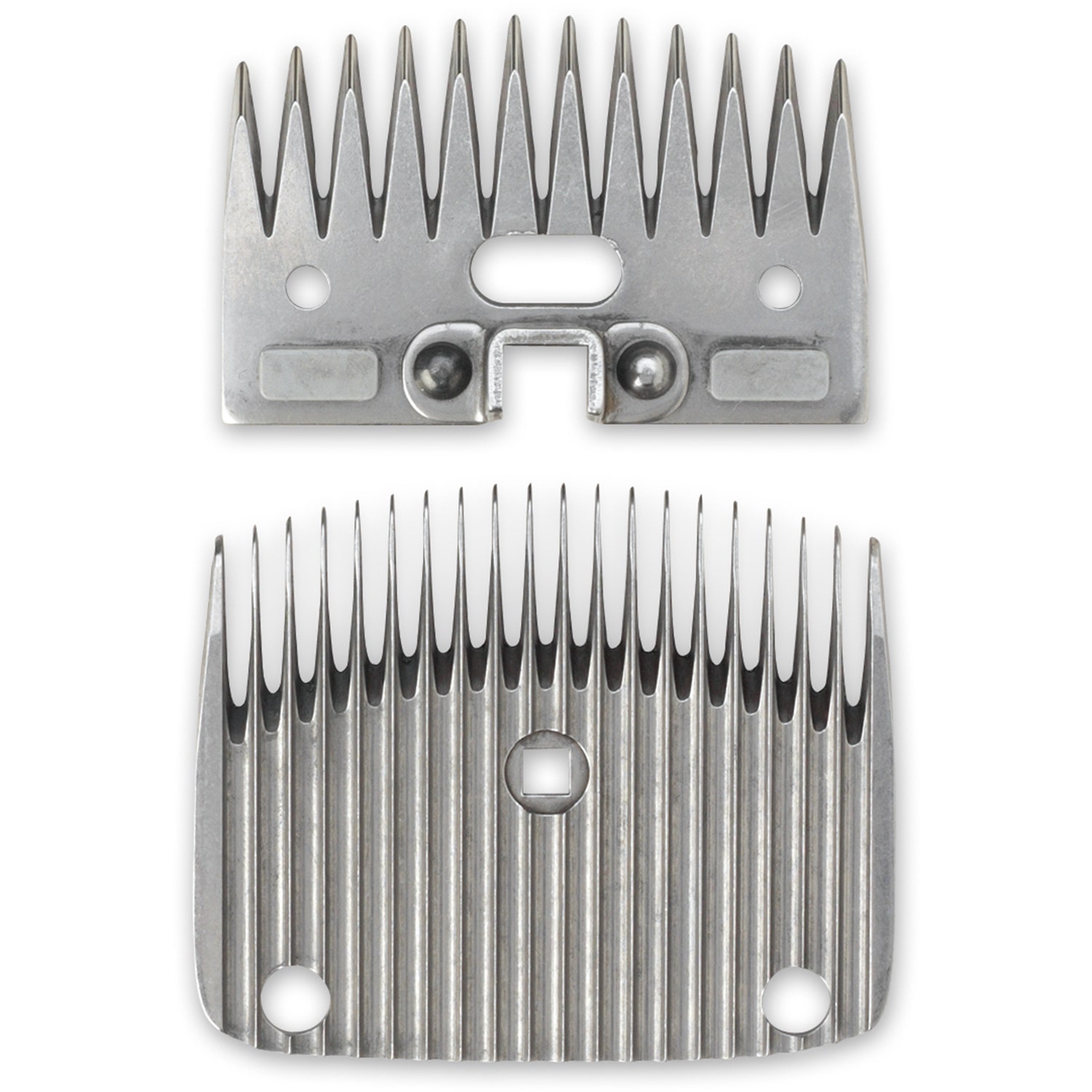 C23100-Lister Wizard 20-Tooth Show Set – Sharp Tip
