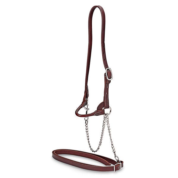 X0000C24083-Nasco Single-Buckle Slimline Round Leather Strap Show Halter - Chocolate