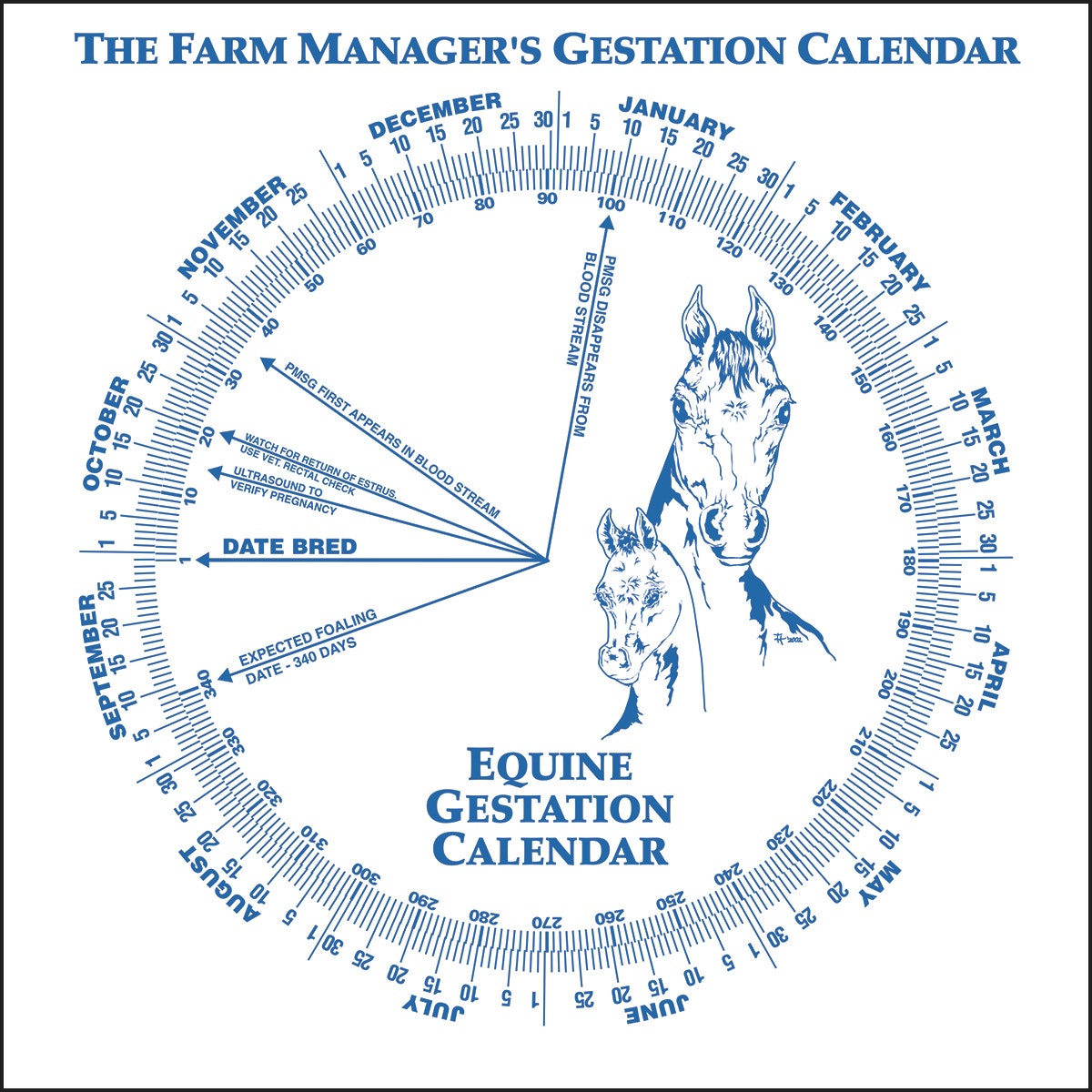 C25171-Gestation Wheel Calendar - Equine