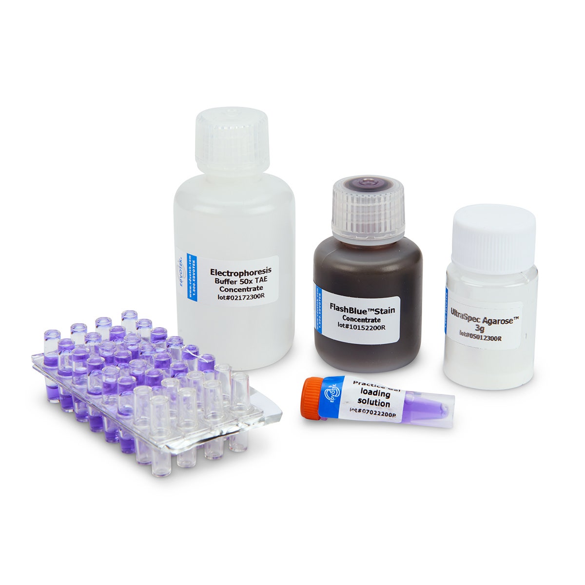 C26406-Ready-to-Load&trade; DNA: Detection of Mad Cow Disease