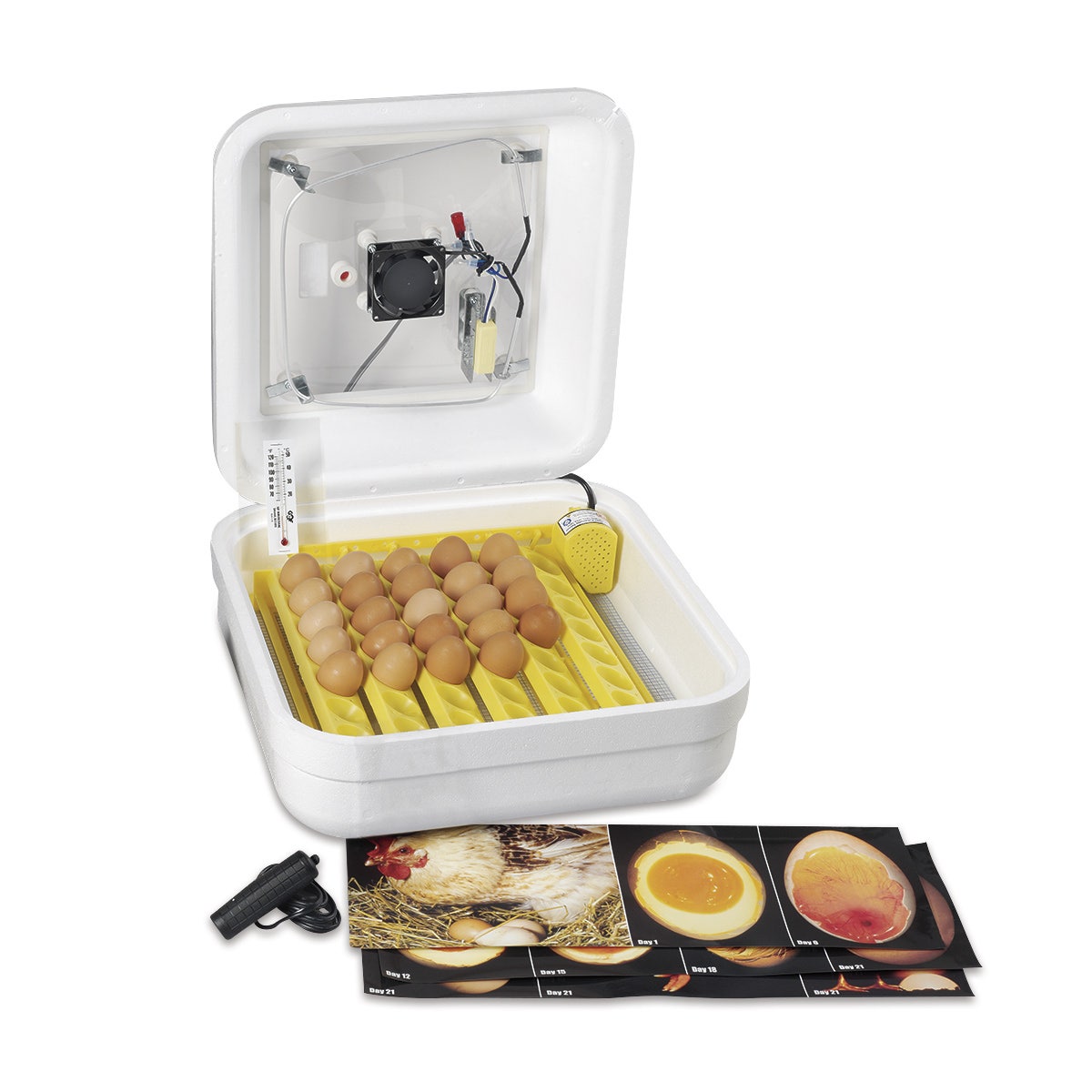 C28125-Nasco Classroom Incubator Kit