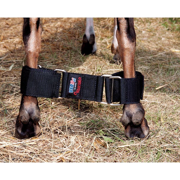 C29738-Weaver® Goat Hobbles