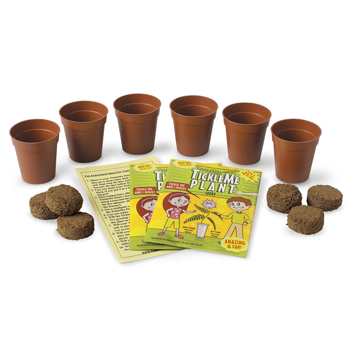 X0000C29747-TickleMe Plant