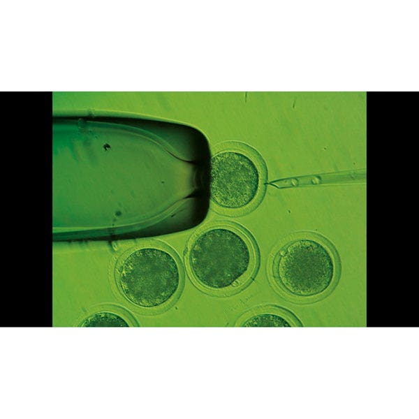 C30461-Livestock Reproduction DVD