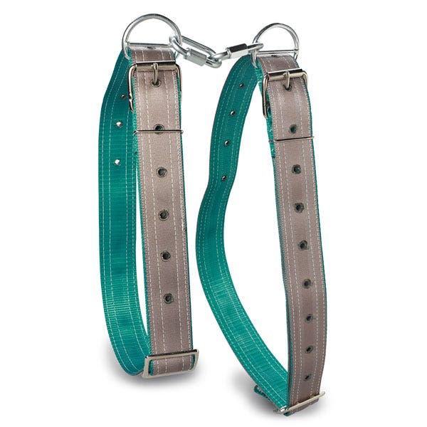 C31513-EZ-Ti Boar Harness